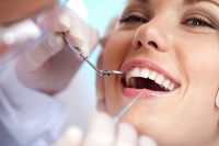 Dentist in 01b070f9-28e6-4f6d-90a7-61b5cacbc978-Dr.-Malvika-Jain-Dr.-Malvika-Jain