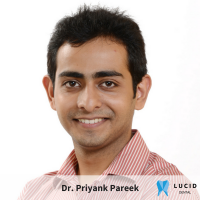 Dentist in d1db607b-7916-4418-9bb1-595408df46c0-LUCID-DENTAL-Priyank-Pareek